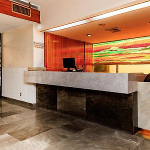 Oyo Hotel Hidalgo